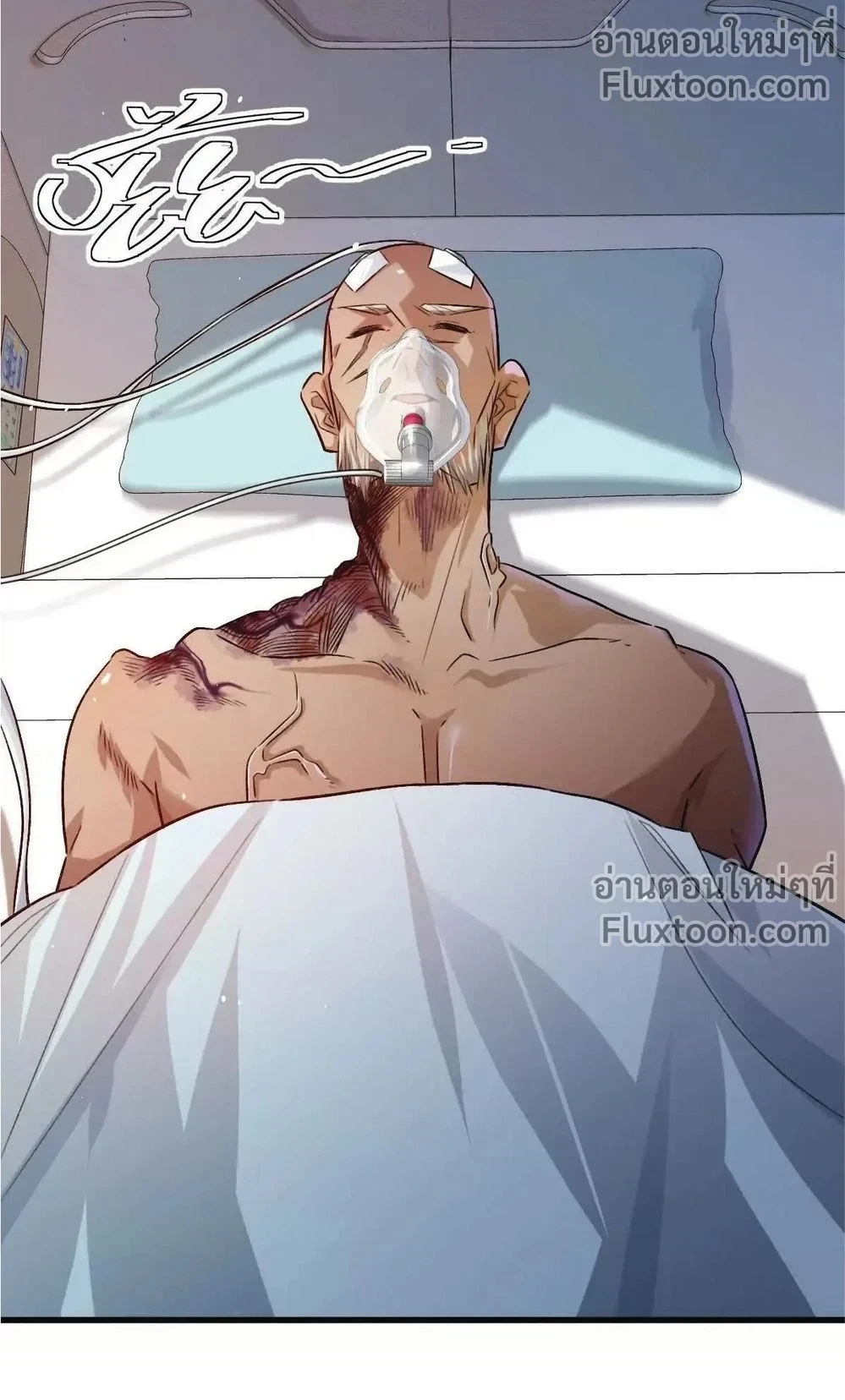 หน้าที่ 13