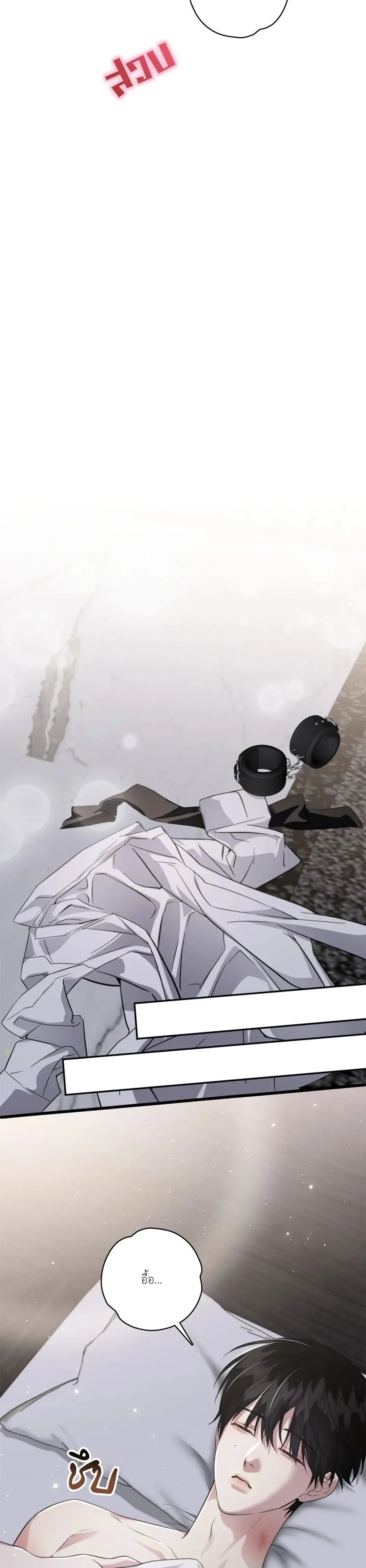 หน้าที่ 24