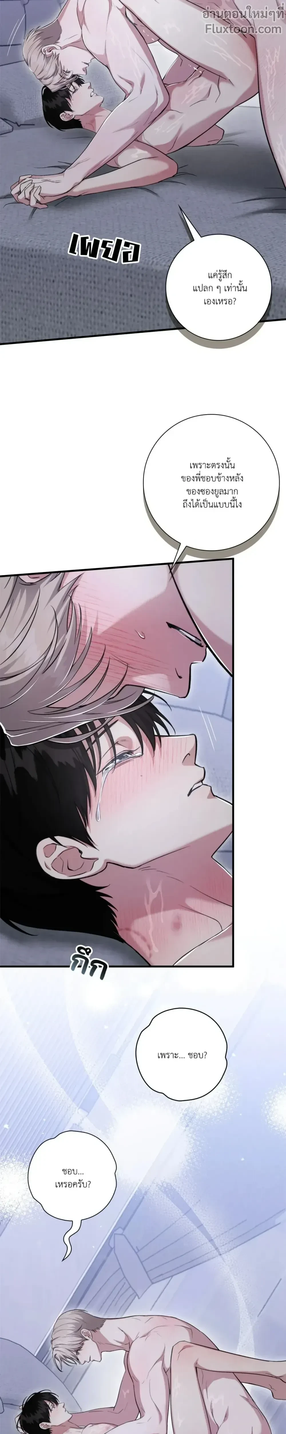 หน้าที่ 17