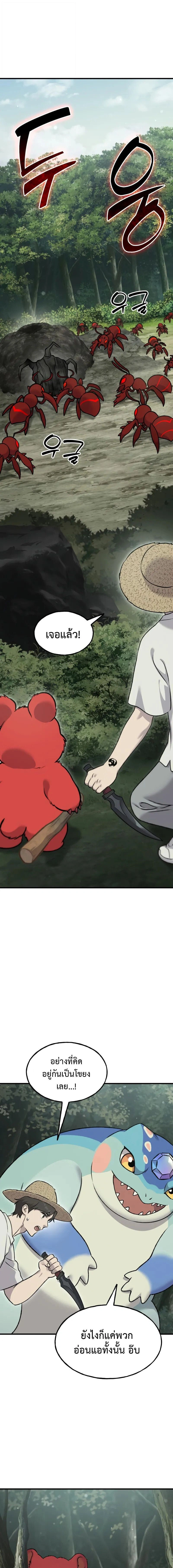 หน้าที่ 17