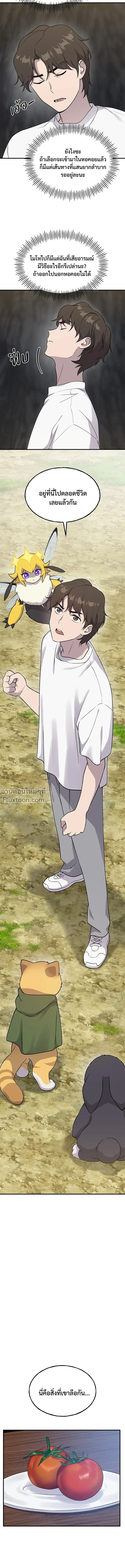 หน้าที่ 20