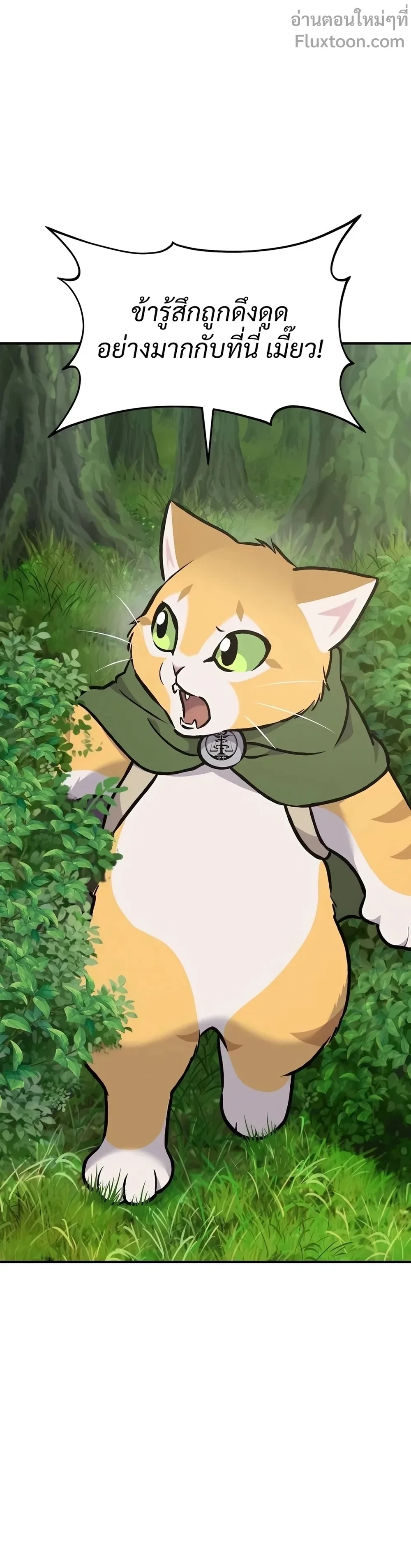 หน้าที่ 40