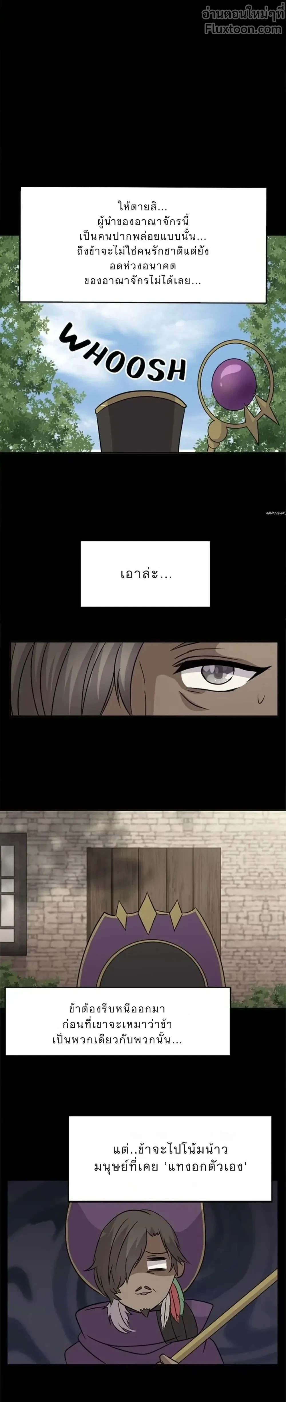 หน้าที่ 17