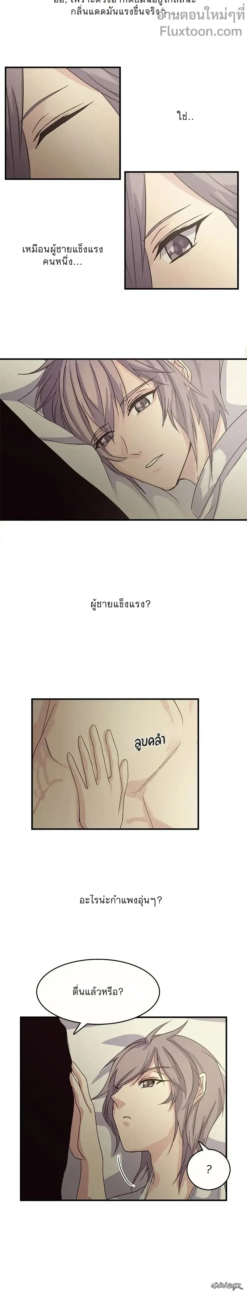 หน้าที่ 11
