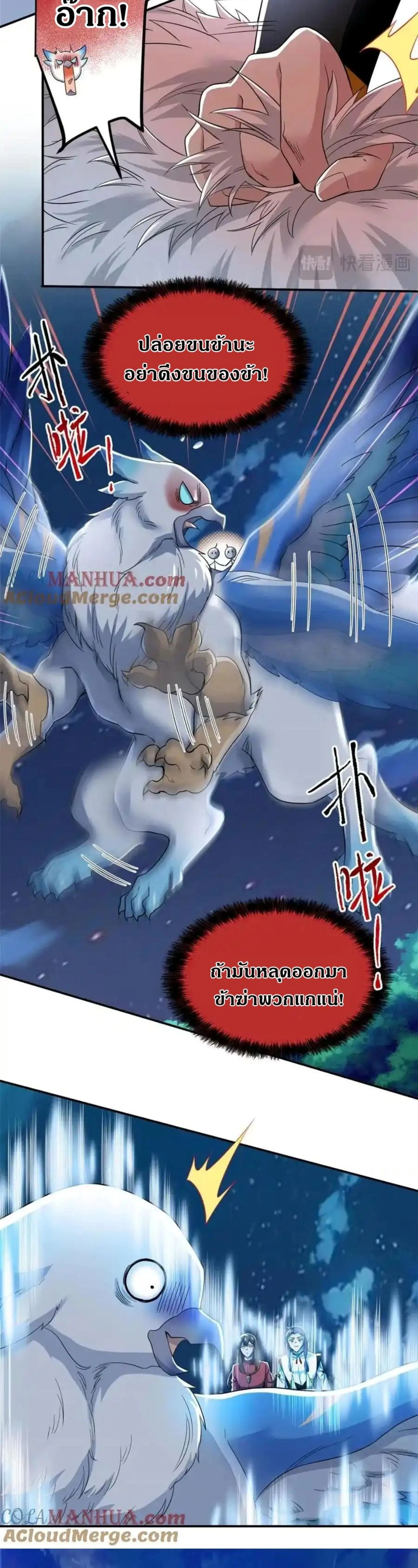 หน้าที่ 5