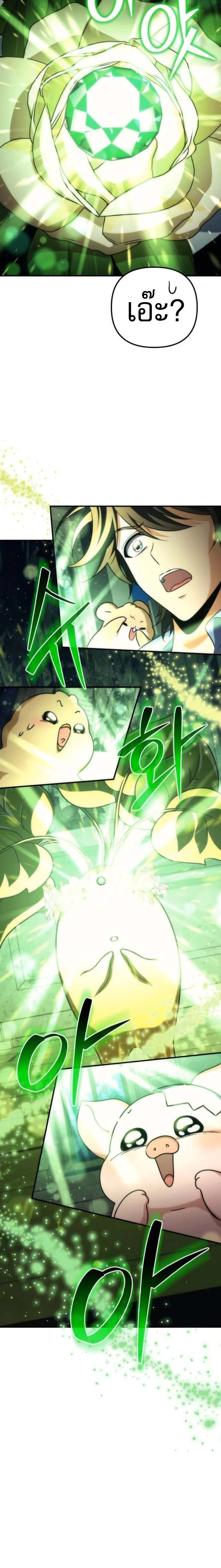 หน้าที่ 33