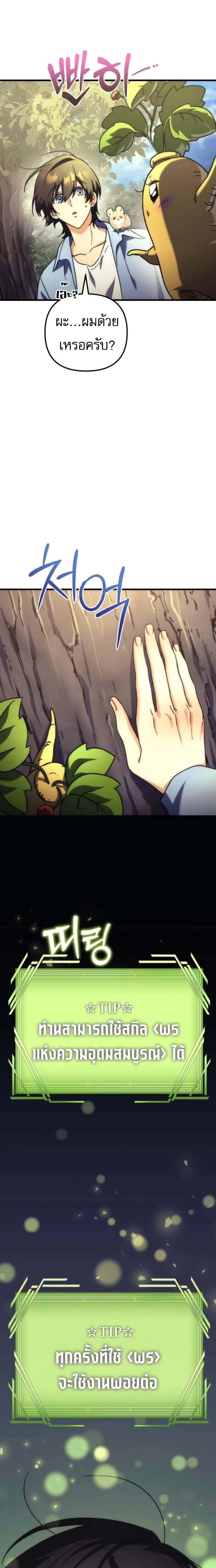 หน้าที่ 29