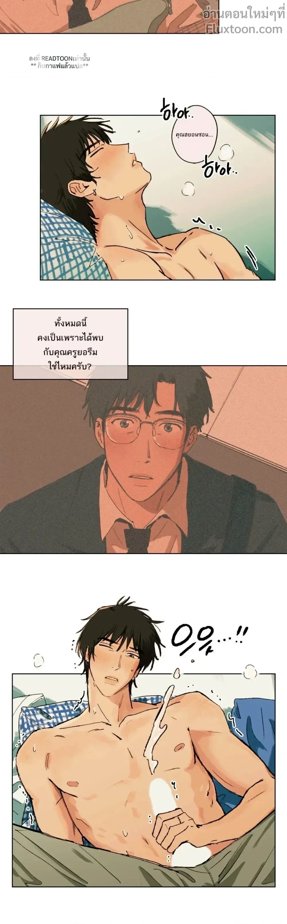 หน้าที่ 13