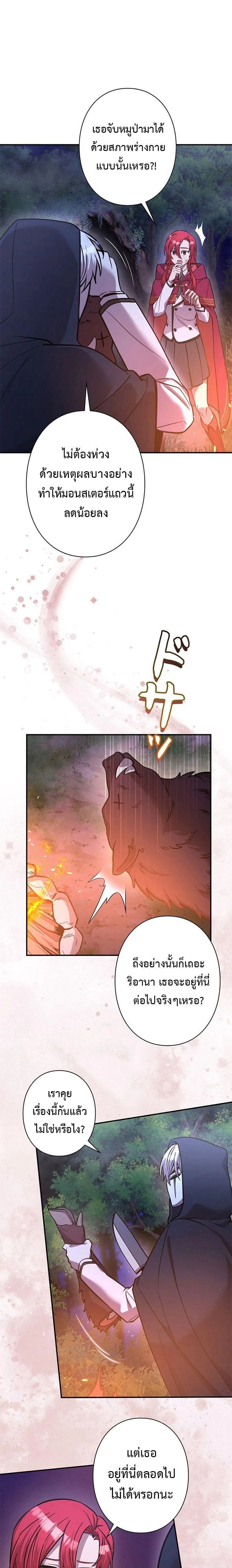 หน้าที่ 17