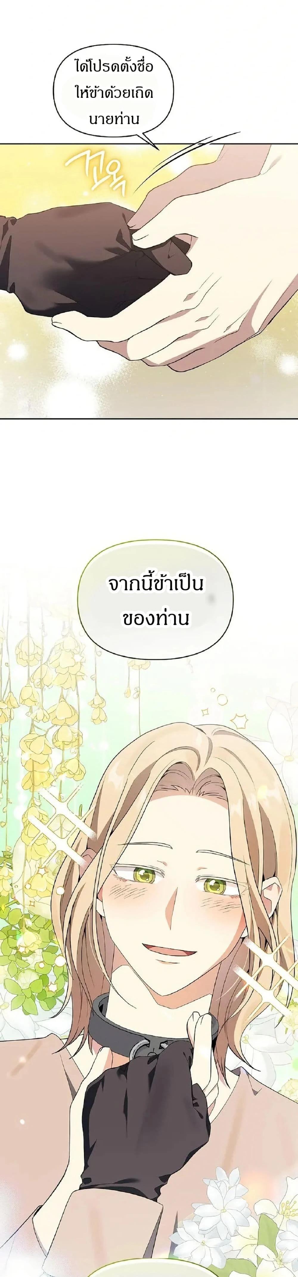 หน้าที่ 43