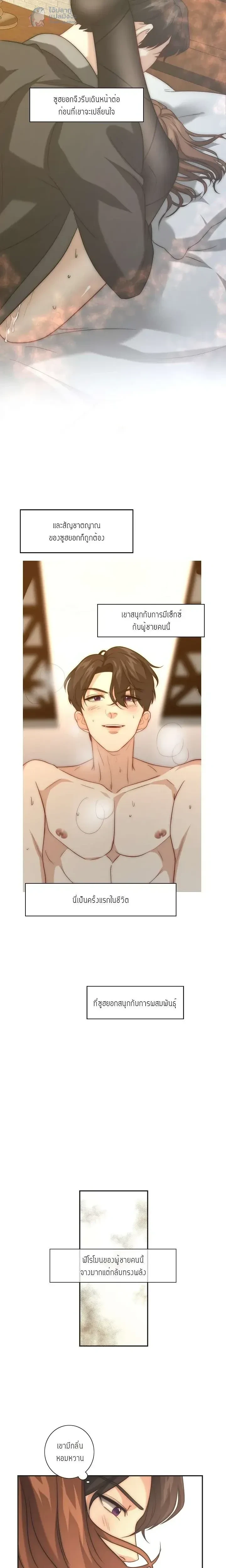 หน้าที่ 11