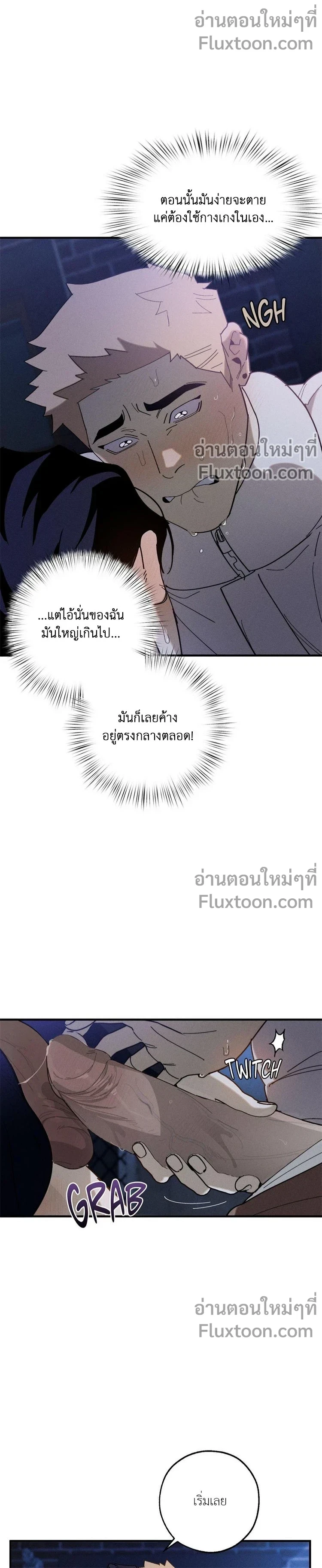 หน้าที่ 13