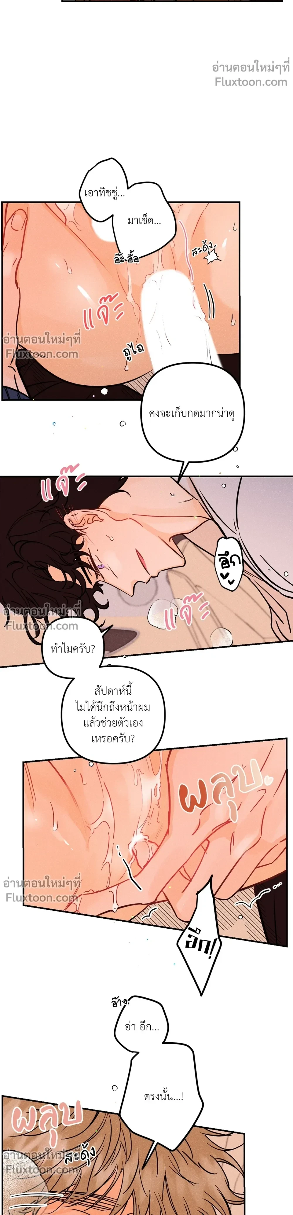 หน้าที่ 11