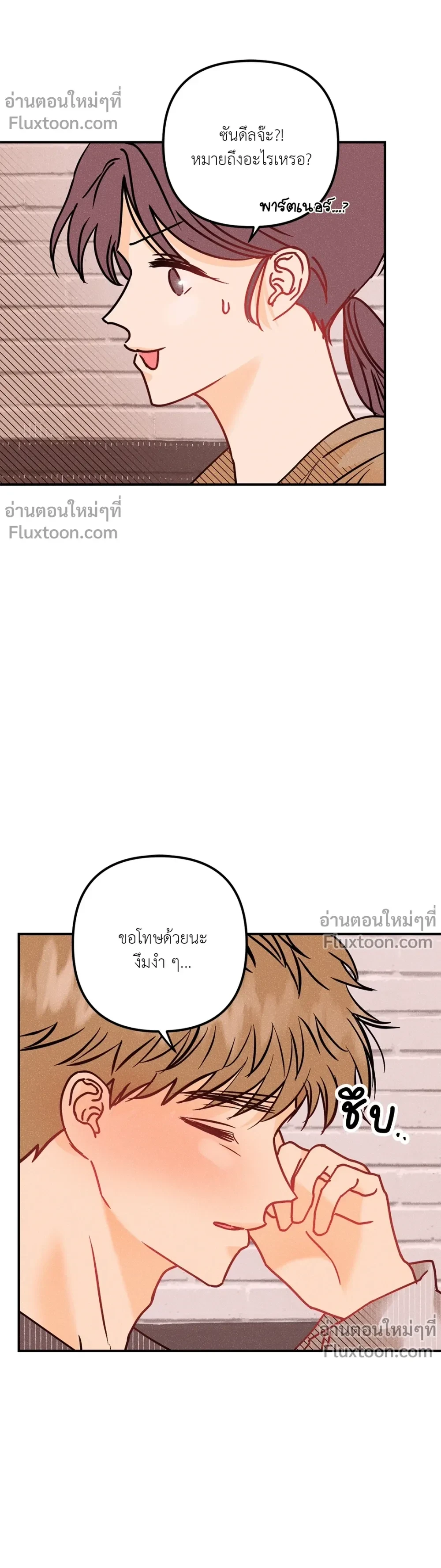 หน้าที่ 13