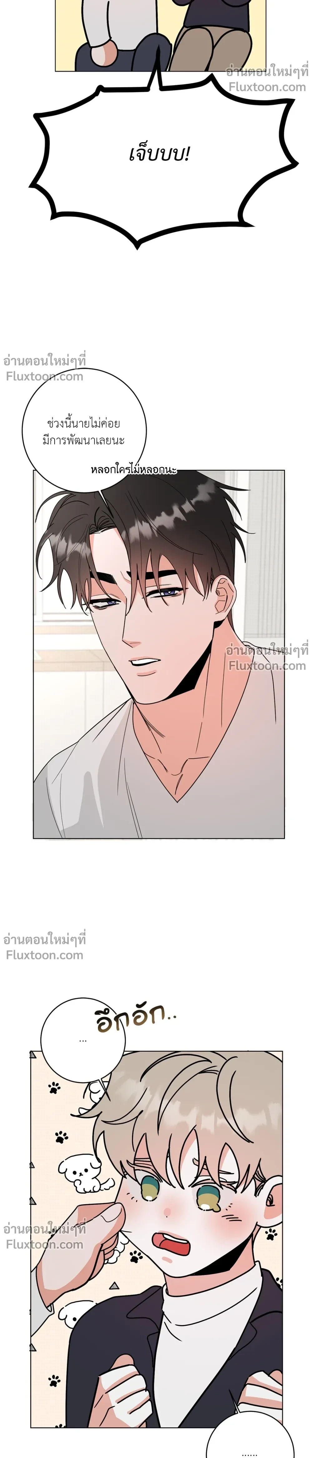 หน้าที่ 13