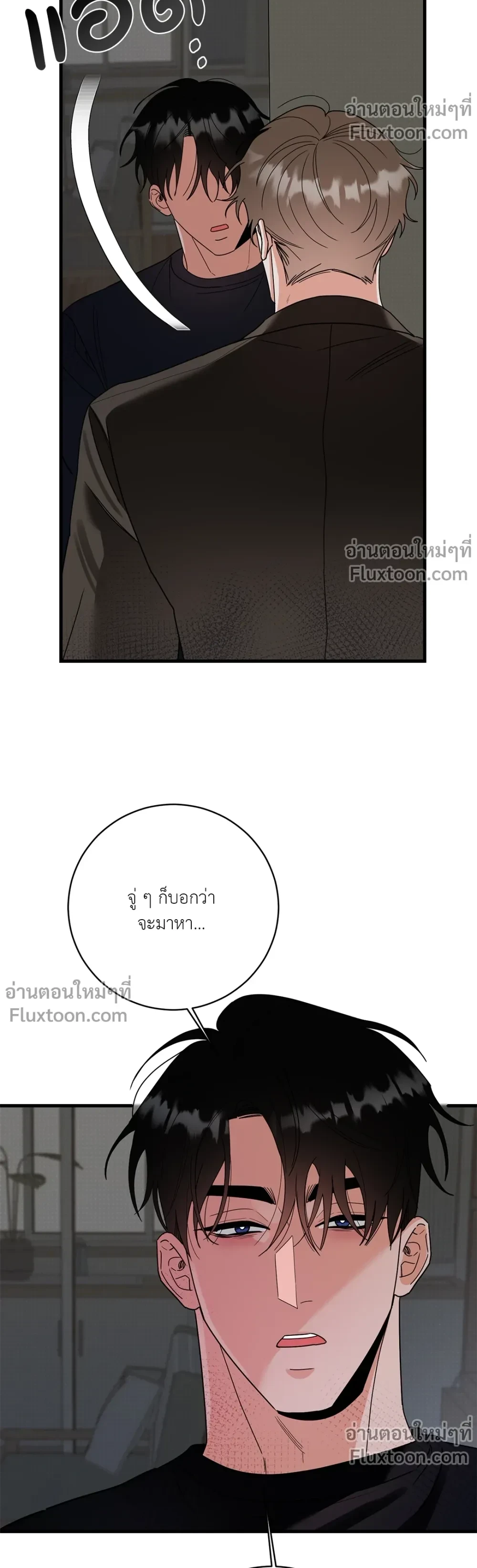 หน้าที่ 11