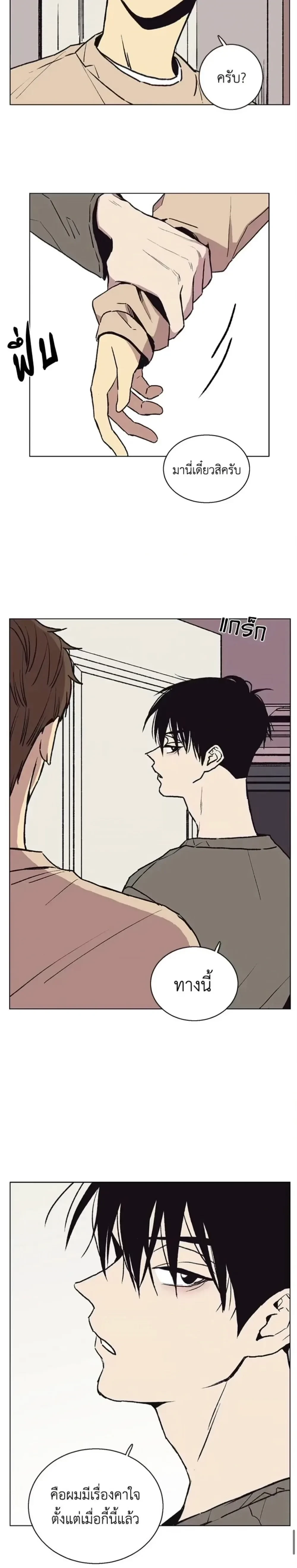 หน้าที่ 17