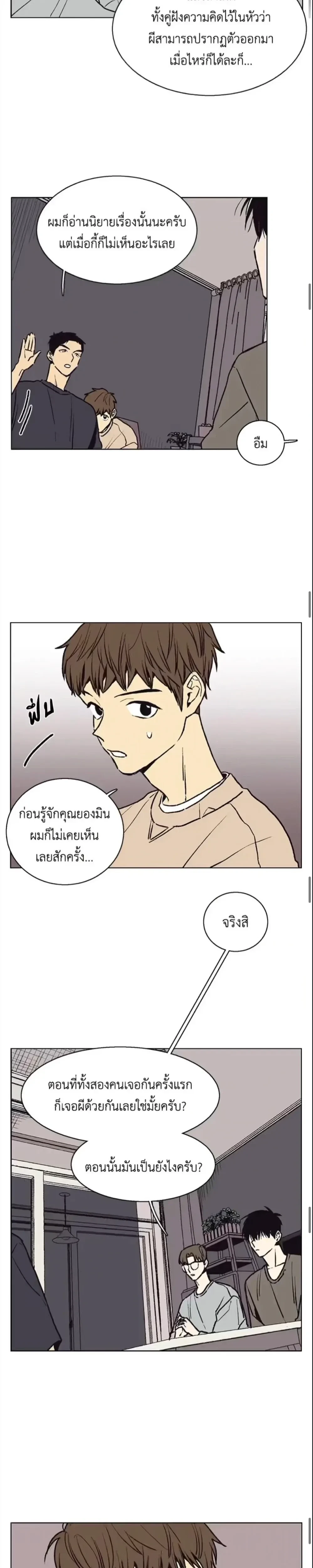 หน้าที่ 13