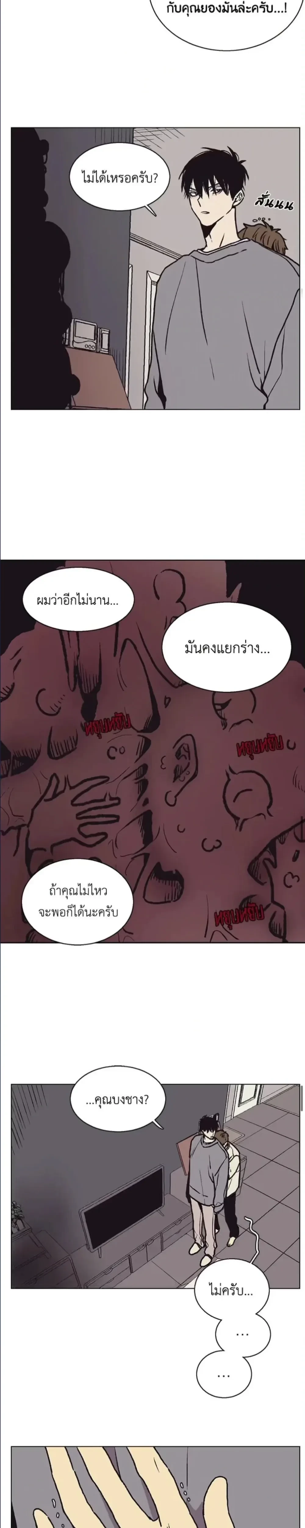 หน้าที่ 14