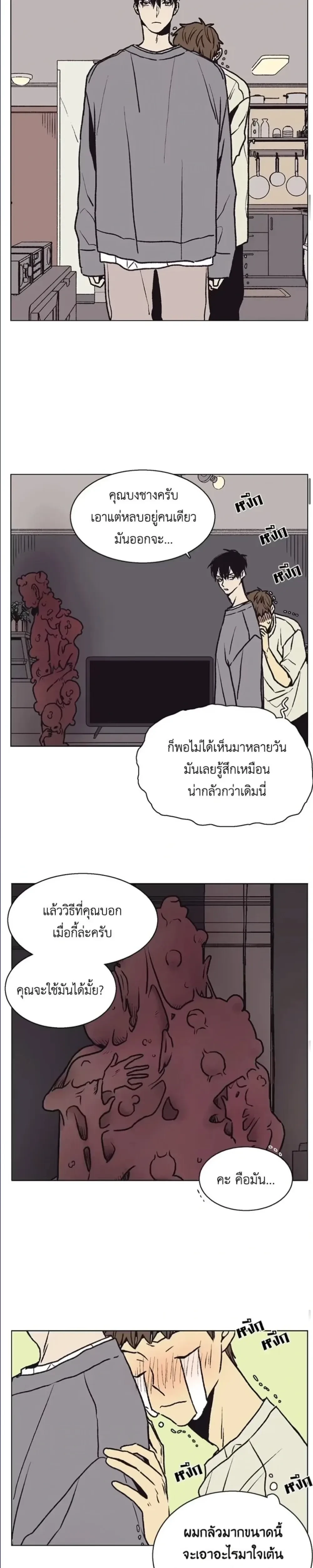 หน้าที่ 13