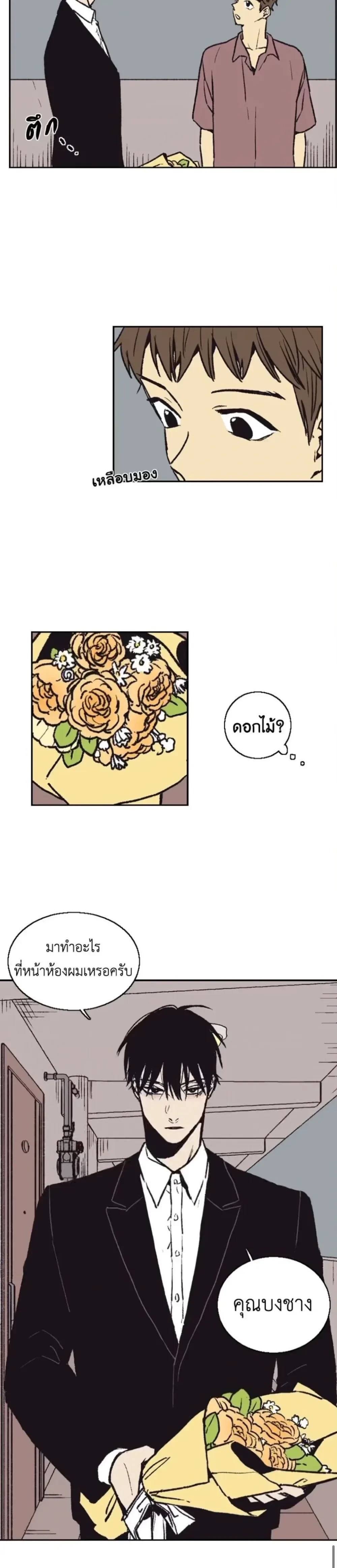 หน้าที่ 19