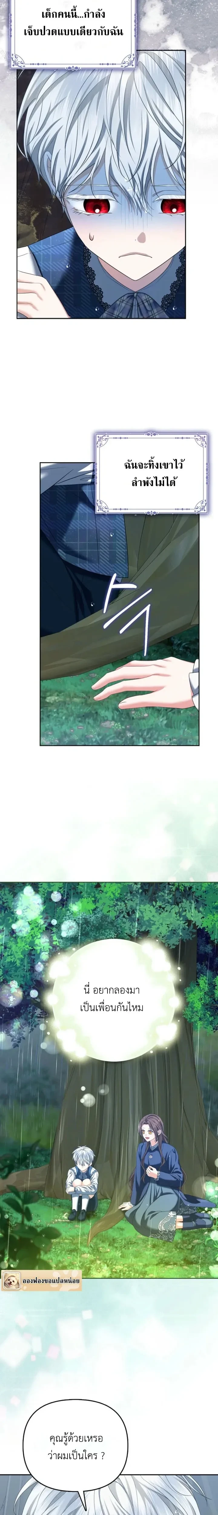 หน้าที่ 17