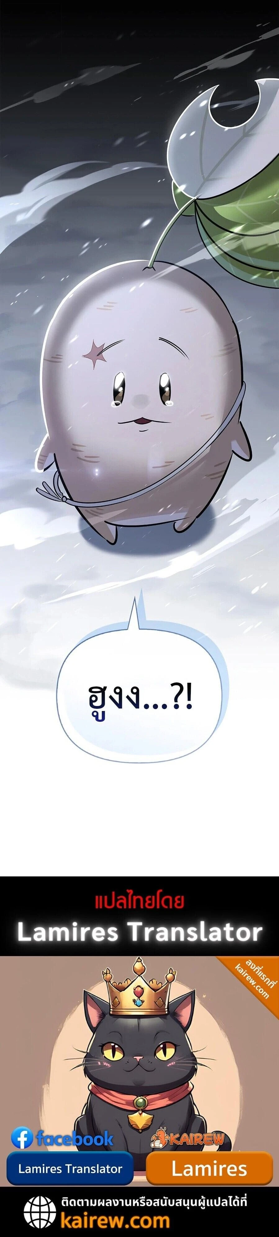 หน้าที่ 31