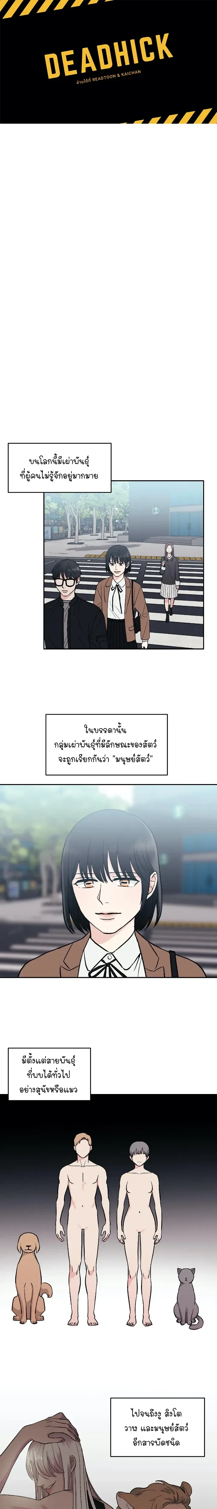 หน้าที่ 1