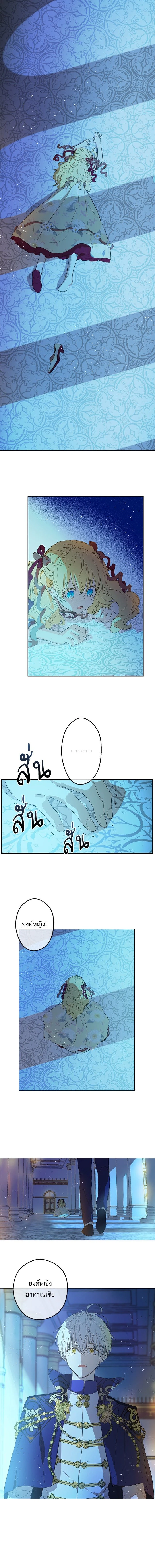 หน้าที่ 8