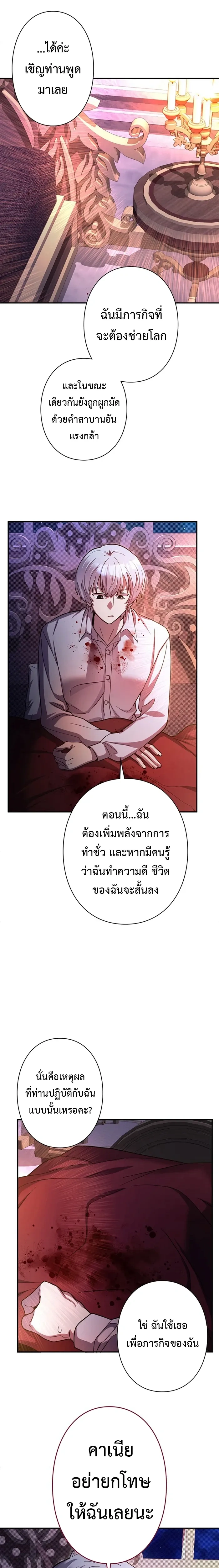 หน้าที่ 17