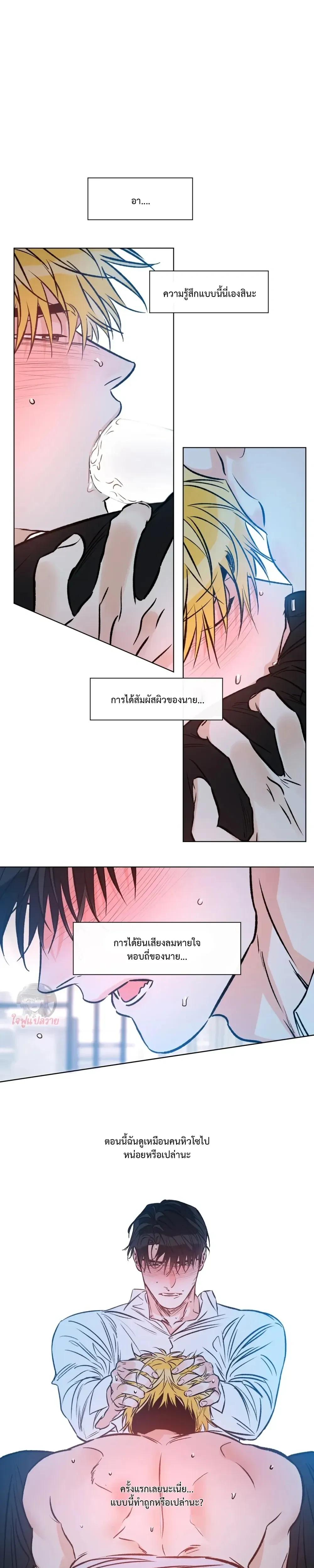 หน้าที่ 17