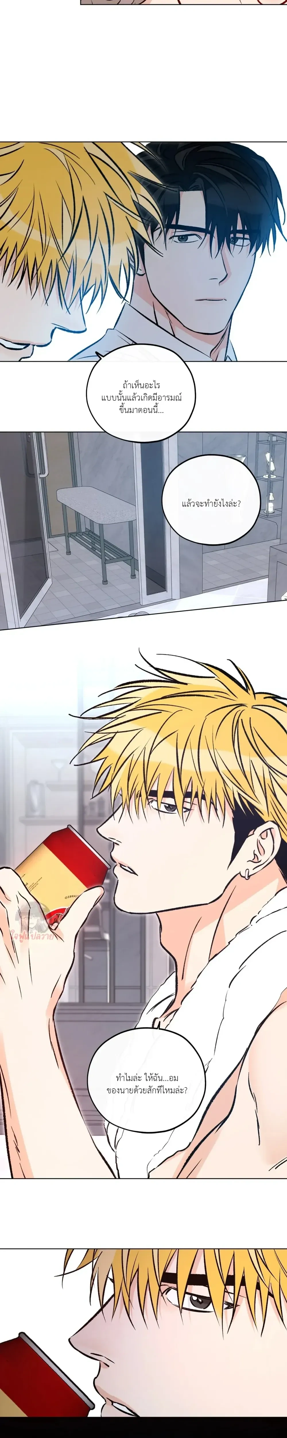 หน้าที่ 11