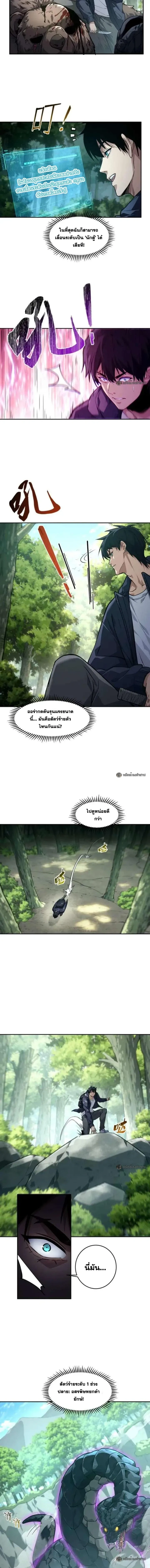 หน้าที่ 3