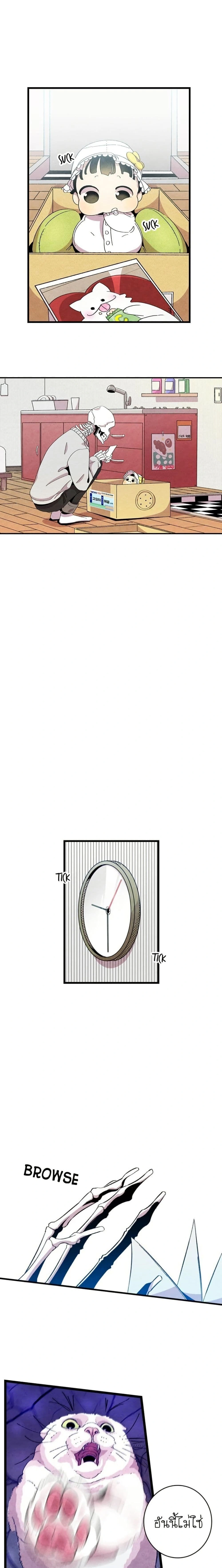 หน้าที่ 13