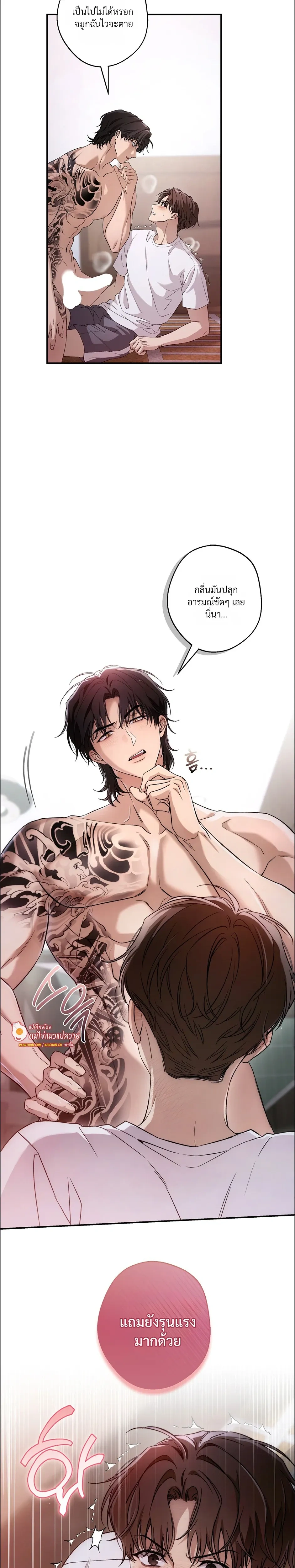 หน้าที่ 24