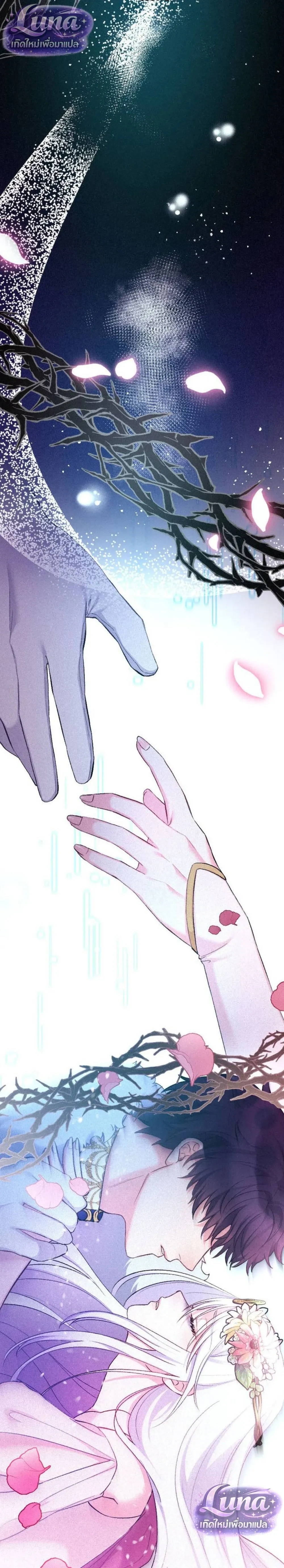 หน้าที่ 28