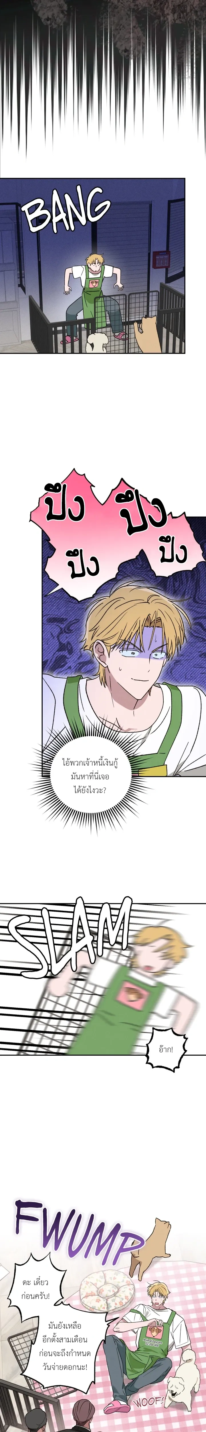 หน้าที่ 13