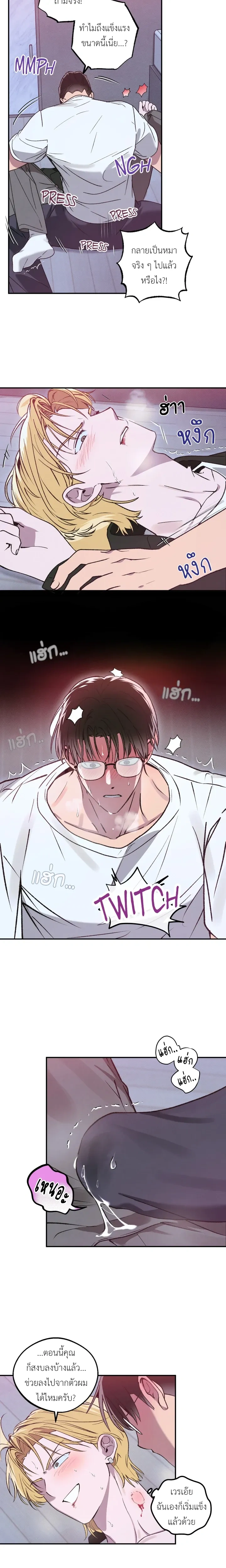 หน้าที่ 8