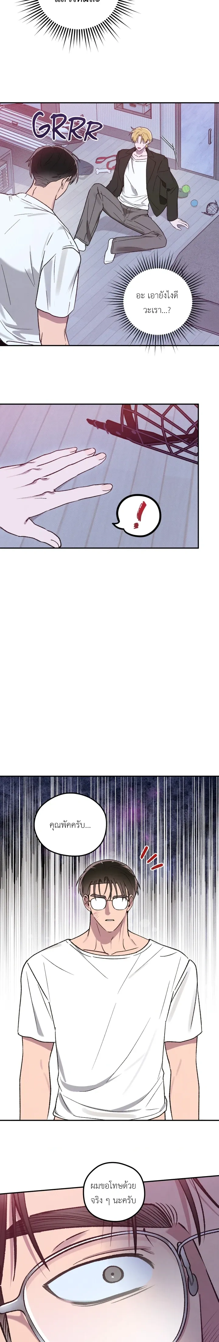 หน้าที่ 11