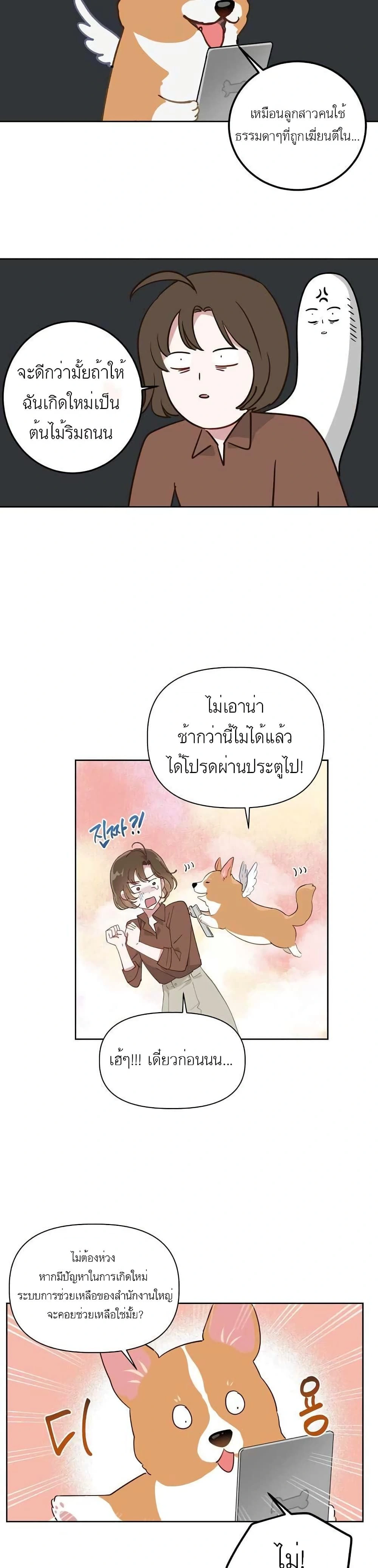หน้าที่ 26