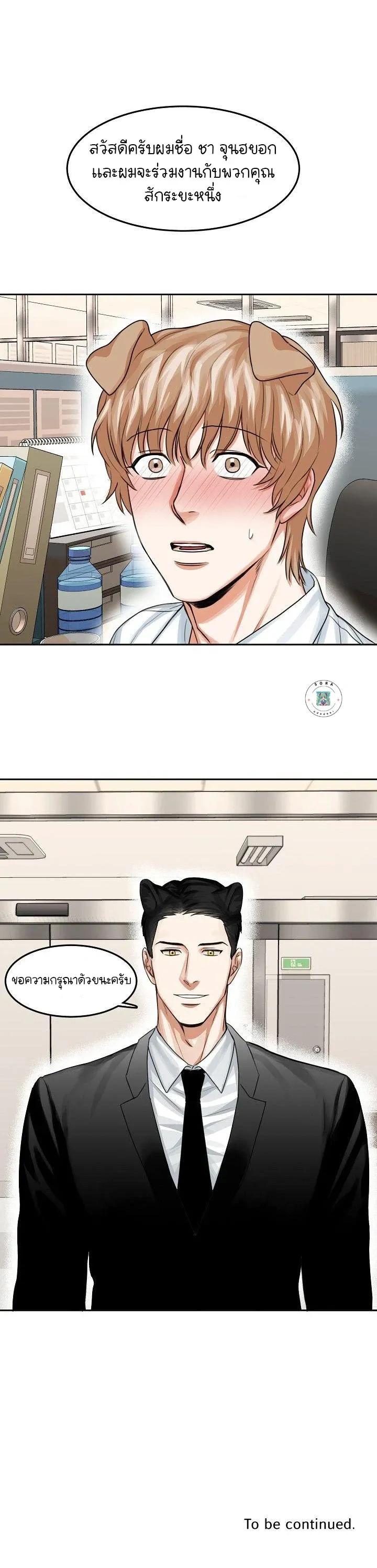 หน้าที่ 11