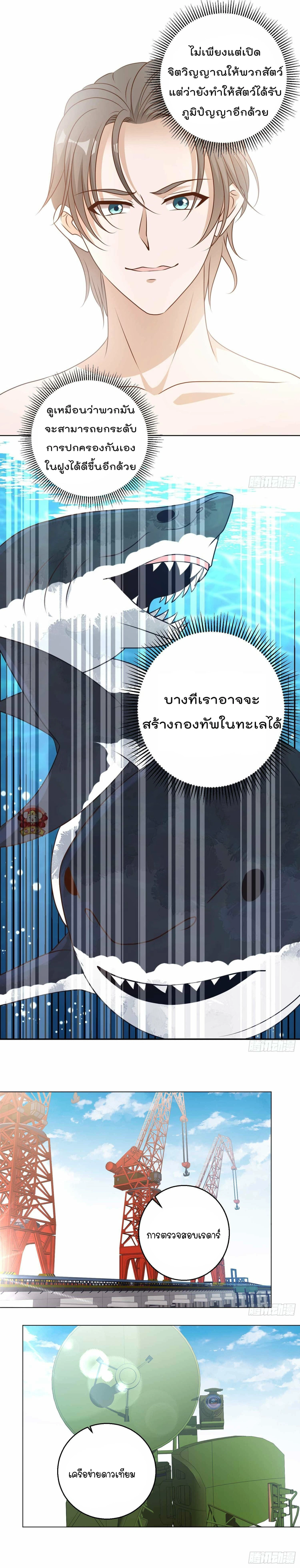 หน้าที่ 31
