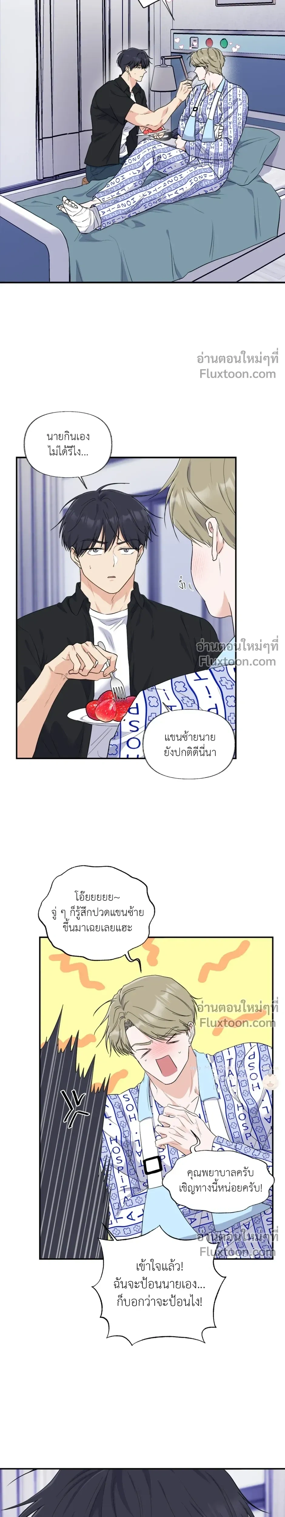 หน้าที่ 13