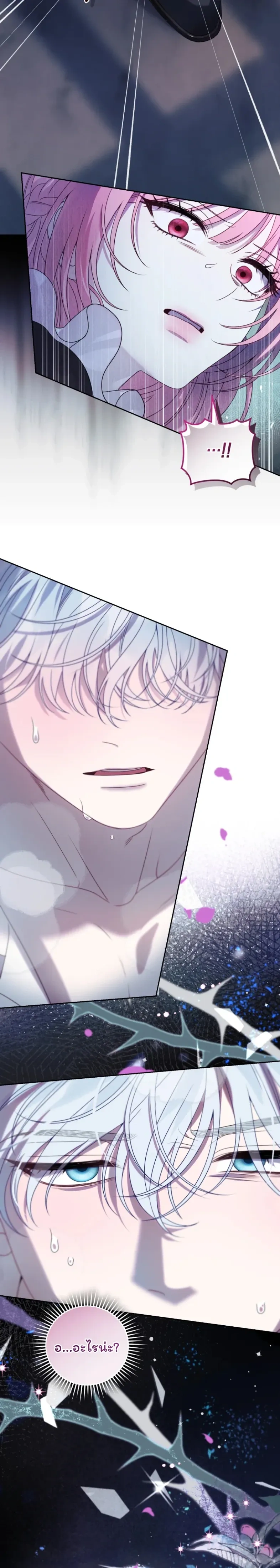 หน้าที่ 17