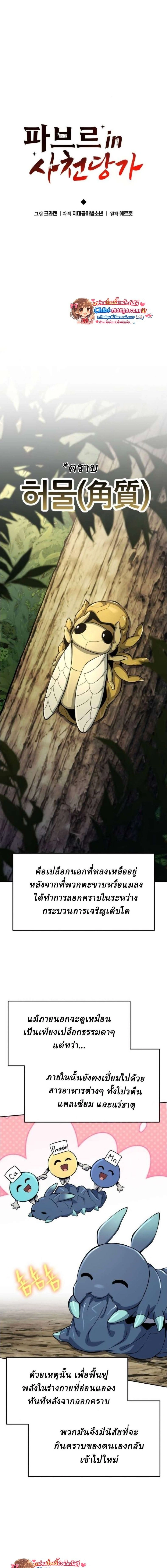 หน้าที่ 13