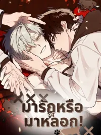 ปกมังงะ มารักหรือมาหลอก! | TRICK or LOVE! (트릭 오어 러브!)