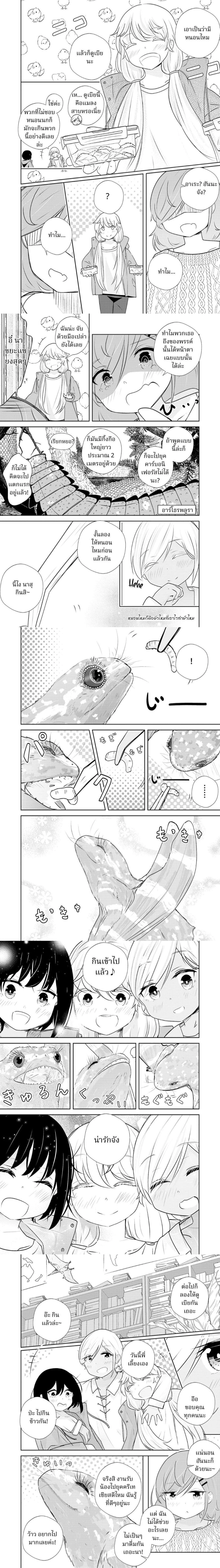 หน้าที่ 4